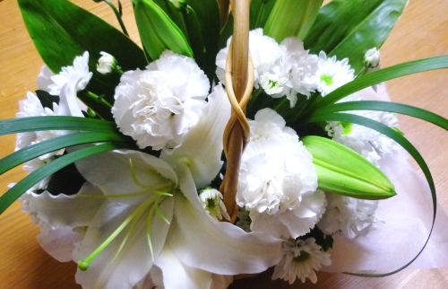 白い花　yumiko.jpg
