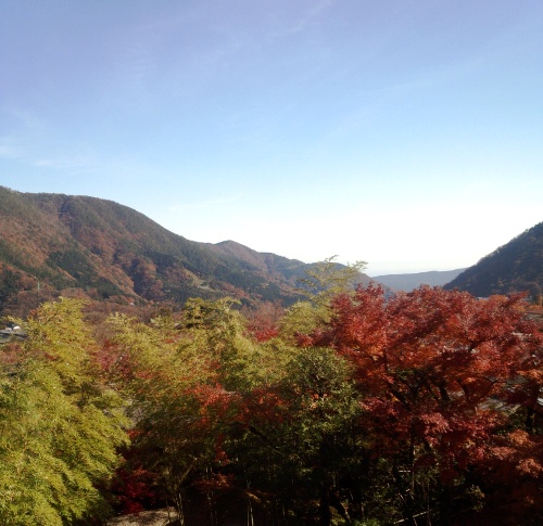 箱根の紅葉.jpg